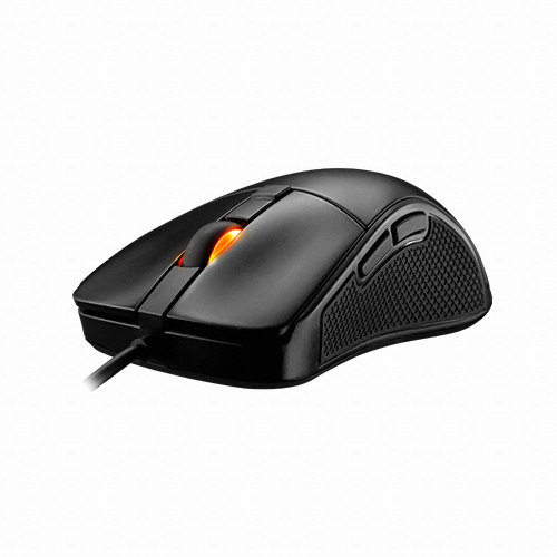 COUGAR SURPASSION