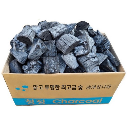 신광 청정숯 참숯 10kg