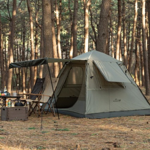 �ں��� �� �¾� ���� ��Ʈ