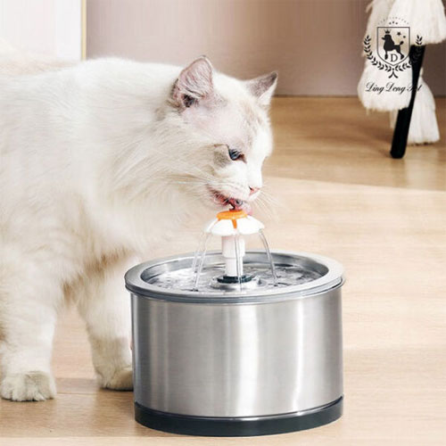 딩동펫 304 올스텐 정수기_이미지