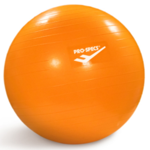 ���ν��彺 ��Ƽ����Ʈ ���� 65cm