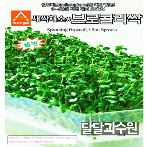 아시아종묘 브로콜리싹 1kg_이미지