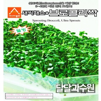 아시아종묘 브로콜리싹 1kg