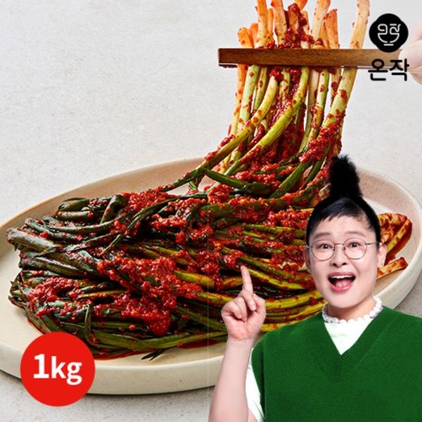  웰빙촌 온작 파김치 1kg [1개]