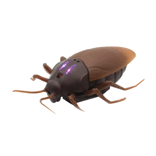 반디 자이언트 로취 RC  무선조종