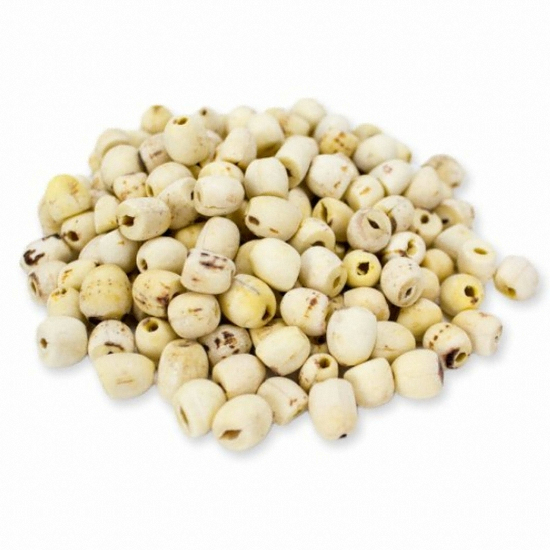 두손애약초 거피연자육 통 600g (1개)