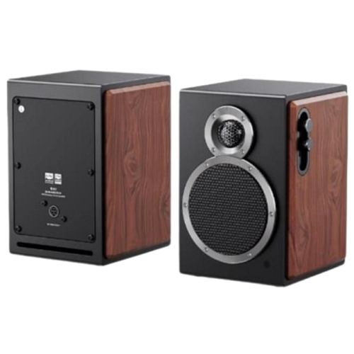 FiiO SA1 (해외구매)_이미지
