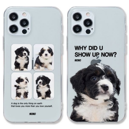 ��ǰ �� �̹���