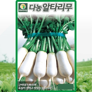 다농 알타리 무 씨앗 알타리 무우 씨 종자 1200립