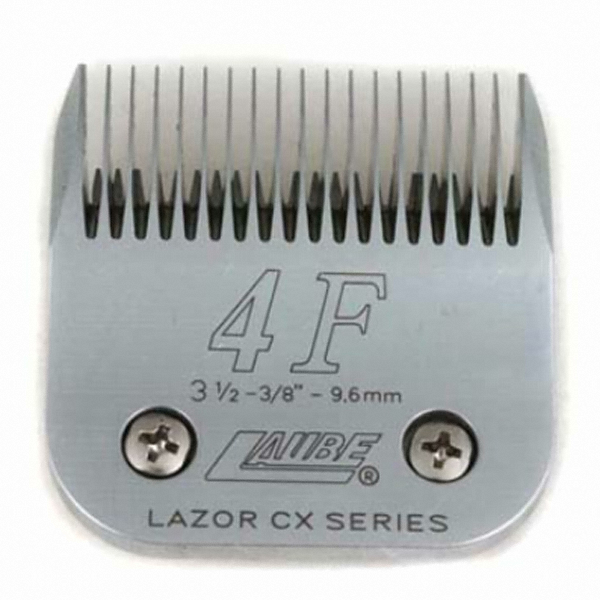 리케이 킴라베 교체날 (4번, 4F)_이미지