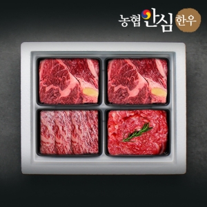 해랑에프앤비 팸쿡 농협안심한우 1등급 혼합2호 선물세트 1.2kg (1개)