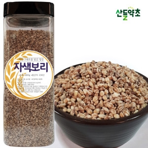산들약초 국산 자색보리 1kg 자수정보리쌀 자맥 잡곡 햇보릿쌀_이미지