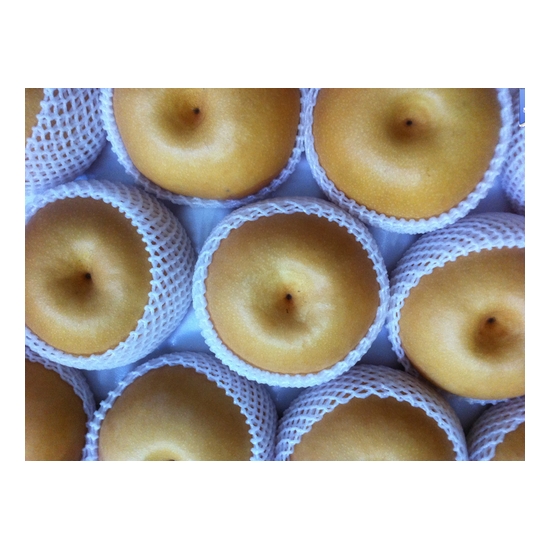 Ȳ�ݸ��� ���ֹ� ������ 15kg