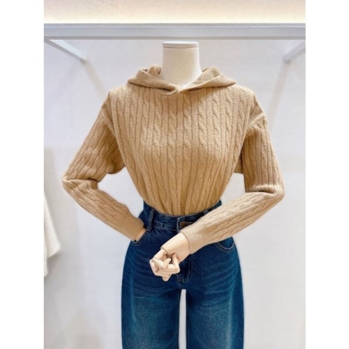 아이올리 LAP 꽈배기 후드니트 AR7XG47M 35611299