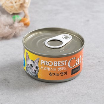 캣 참치와 연어 80g