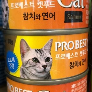 캣 참치와 연어 80g