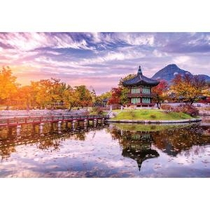 ������ 1000�ǽ� �������� ��ǳ�� �Ƹ��ٿ� ������� ����