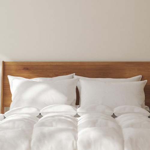 베이직 폴란드 호텔식 구스 베개솜