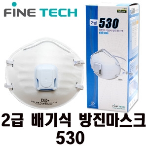 파인텍 2급 네퓨어 P1 530 (1개)_이미지