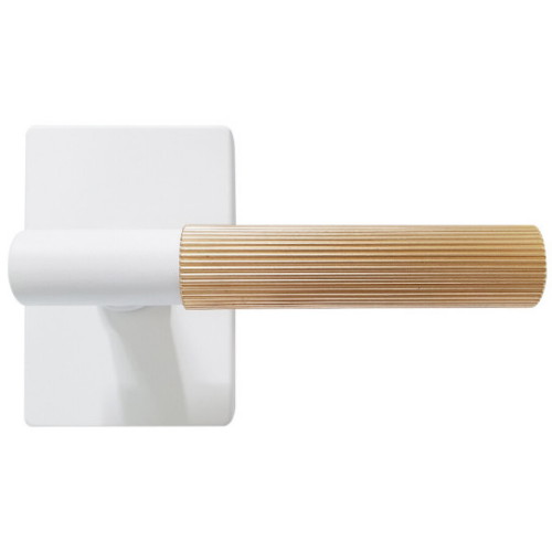 [불명] 방문손잡이 CS-301_이미지