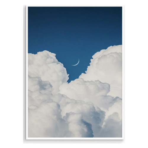 �����̼� �Թ̵弾�� ������ blue moon 3ȣ