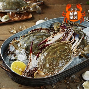 서촌꽃게 냉동 암꽃게 5kg 13~15미 (1개)_이미지