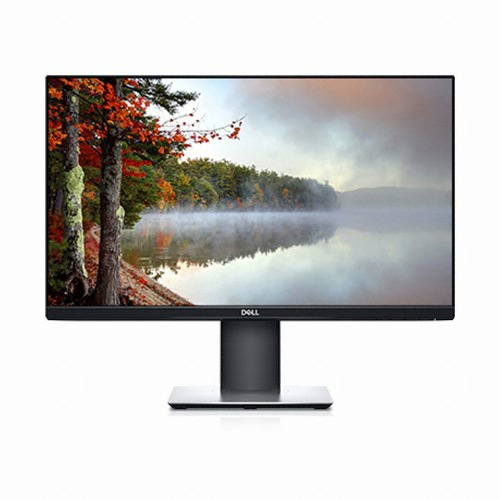DELL P2319H_이미지