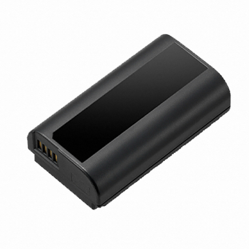 파나소닉 DMW-BLJ31 배터리 (벌크)_이미지