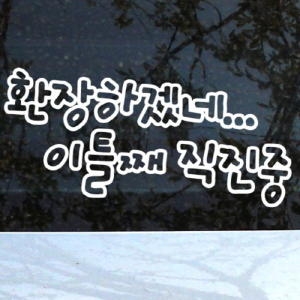 몽키데코 초보운전 이틀째 직진중 스티커