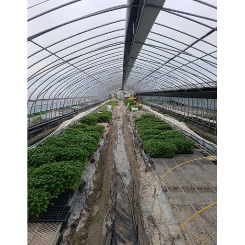 동아필름 흑장수 비닐 소폭 0.15mm (1.5m x 100m)