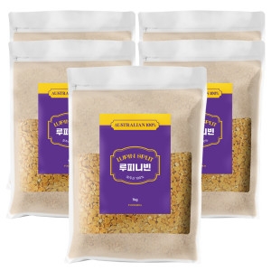 푸드모아 루피니빈 콩 1kg (5개)_이미지
