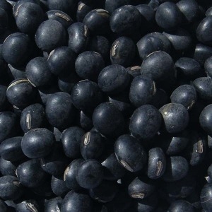 [�Ҹ�] û������ û��5ȣ ���� ������ 2kg