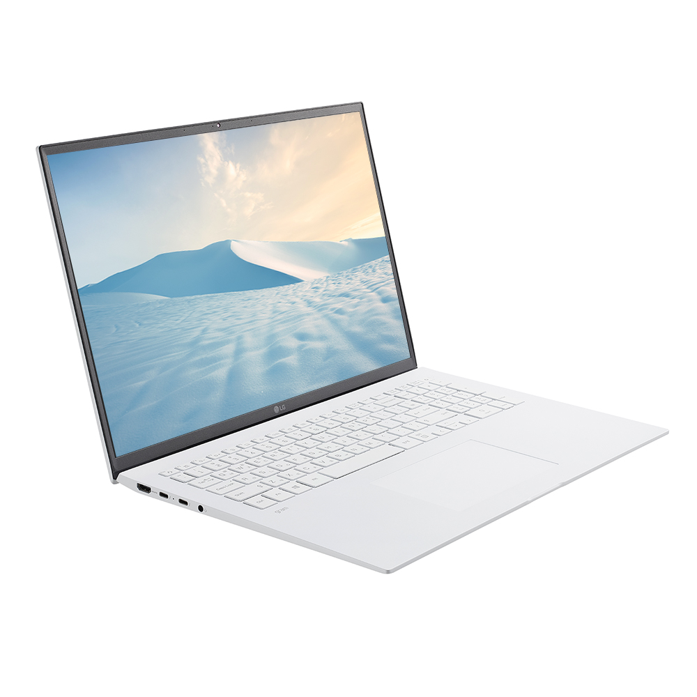 LG전자 2021 그램17 17Z90P-OA7FK (SSD 250GB + SSD 512GB)