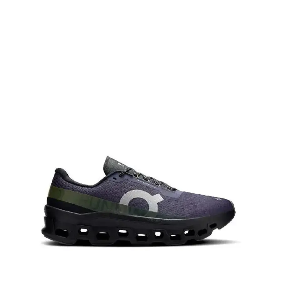 ON CLOUDMSTER 1 ����Ŀ�� 3MF3074FLINT T