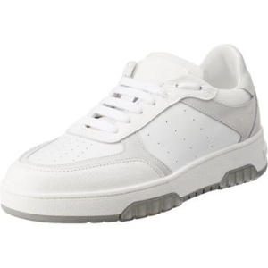 ������ ����Ŀ�� �ȭ ���� Sb15053g1gur310d 281786