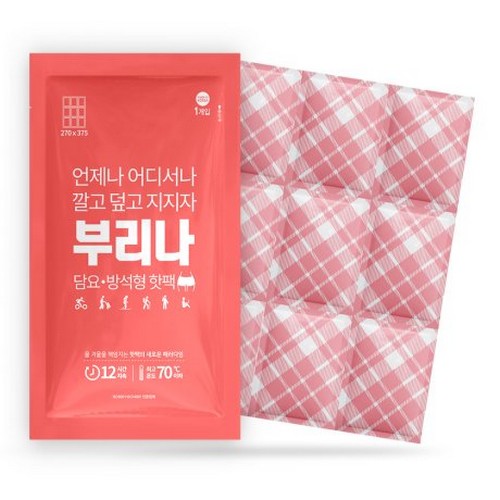 올덴 부리나 방석 핫팩 540g (10개)_이미지