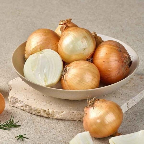 더자인 국내산 단단하고 신선한 햇양파 소 장아찌용 10kg