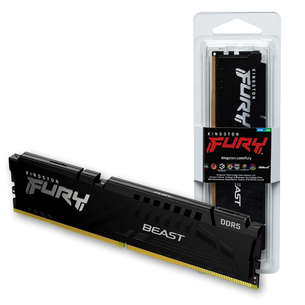 ŷ���� FURY DDR5-5600 CL36 Beast ���� ����