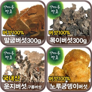 말굽버섯 목이 운지 노루궁뎅이 상황 영지 차가버_이미지