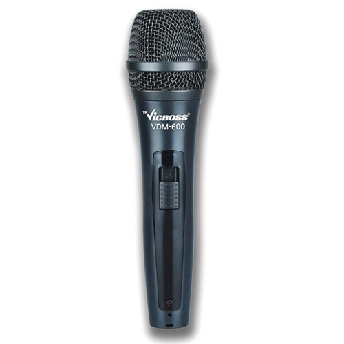 빅보스 VDM-600