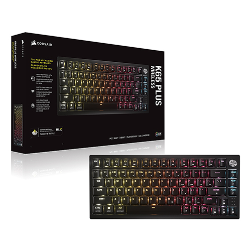 CORSAIR K65 RGB PLUS ������ ���̹� ���� ����