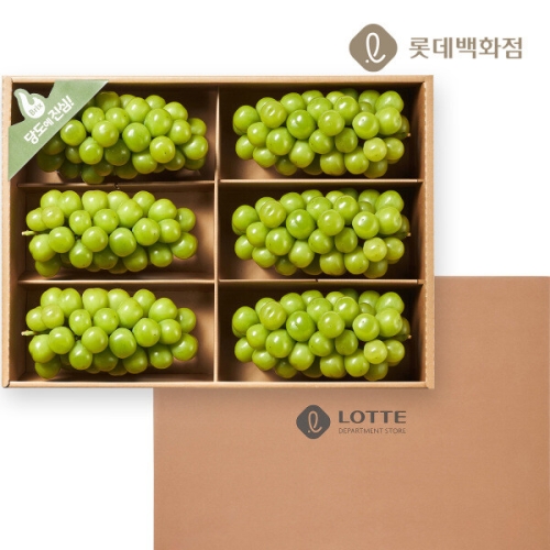 으뜸 당도보장 샤인머스켓 세트 4kg