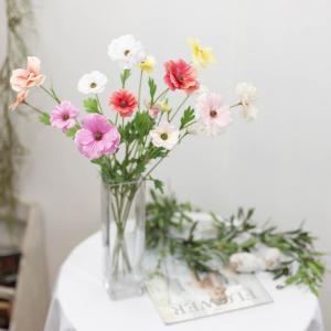 ��Ƽ�ö��� ����ŧ��������