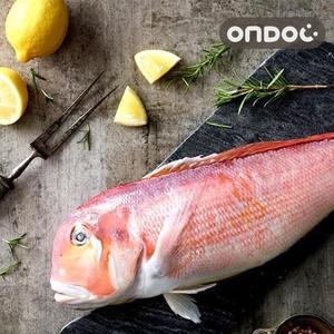 �µ��� ���� ���� ���� Ư�� 290g����