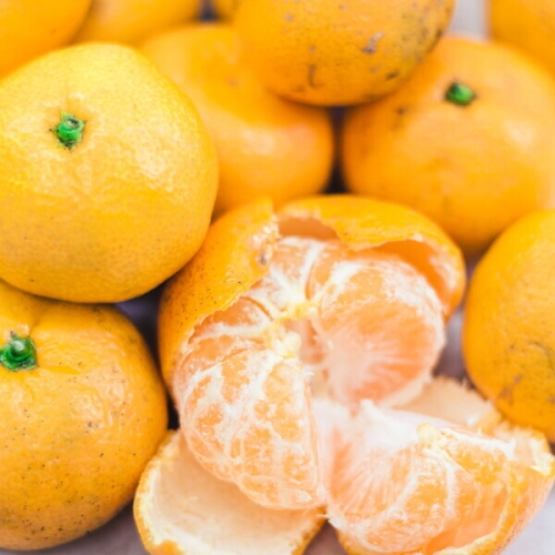 [불명] 새콤달콤 과육이 꽉 찬 제철 제주 조생귤 10kg (1개)_이미지