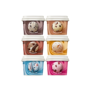 배스킨라빈스 배스킨라빈스 블록팩 170ml (6개)