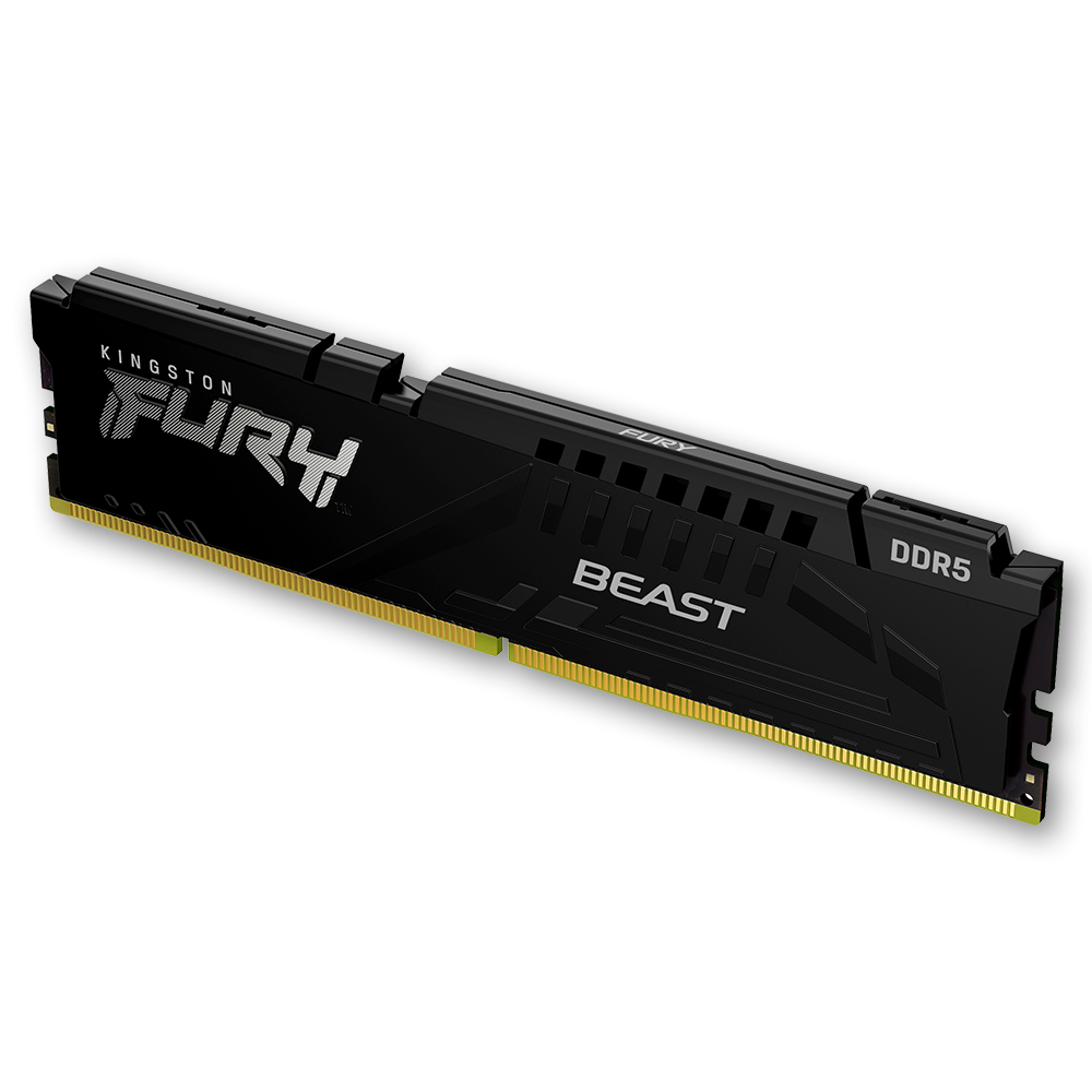 킹스톤 FURY DDR5-5600 CL36 Beast 블랙 코잇 (16GB)_이미지