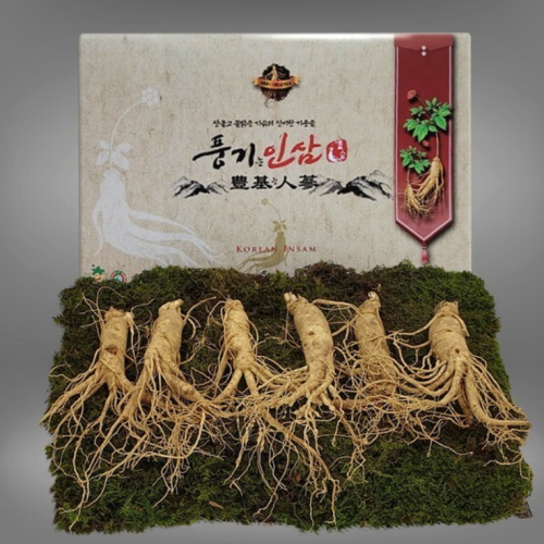 대경인삼사 풍기인삼 5년근 수삼 6~7뿌리 500g (1개)_이미지