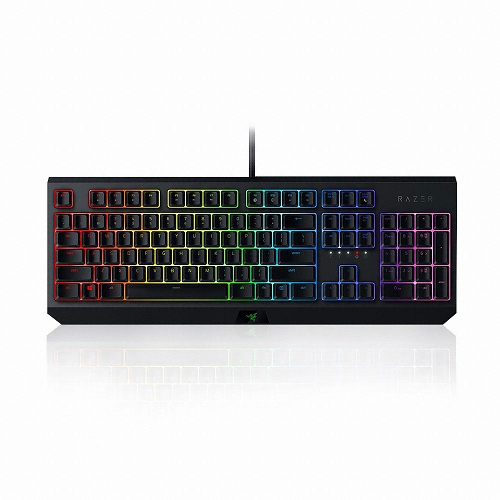 Razer BlackWidow KR (녹축)