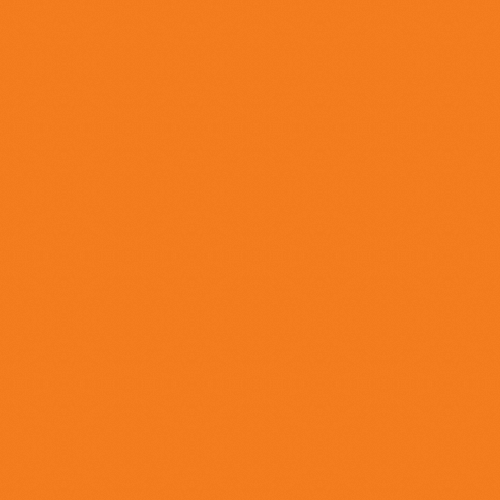 SAVAGE 24 Orange 하프사이즈 롤배경지 (정품)_이미지